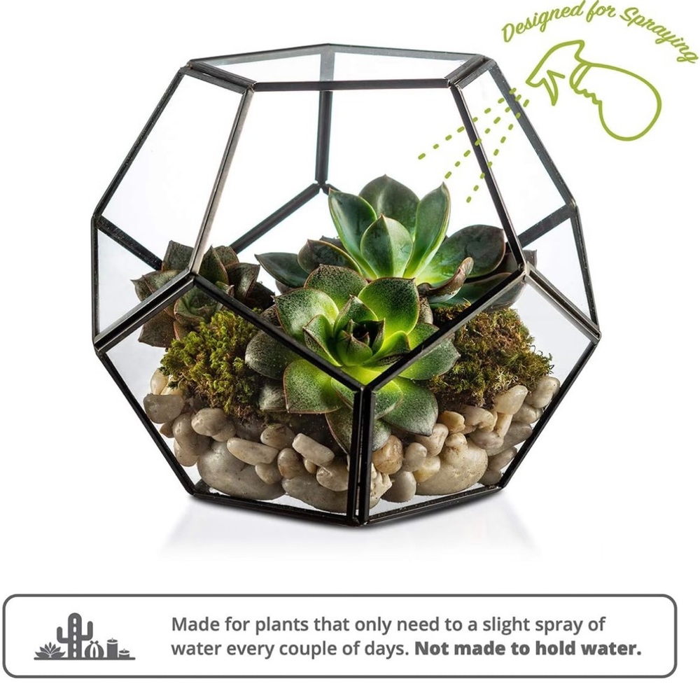 Geometric terrarium